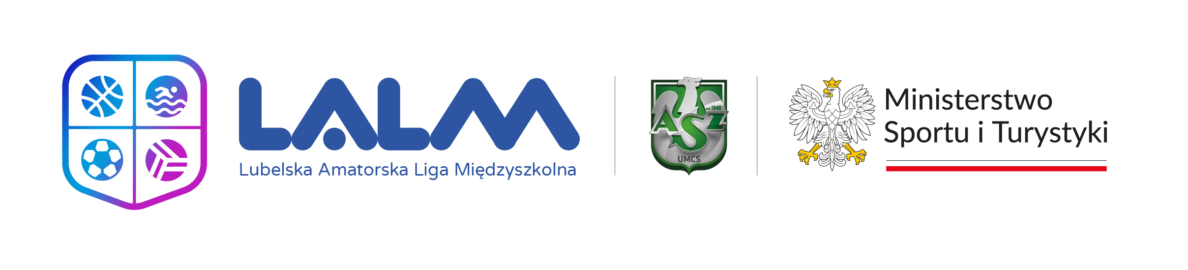 LALM - Lubelska Amatorska Liga Międzyszkolna